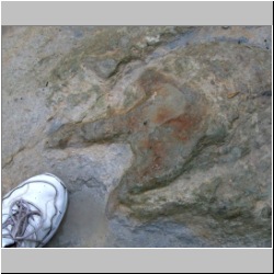 100_1423 (07-30-2009)-mod2.jpg